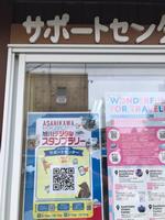 サポートセンター