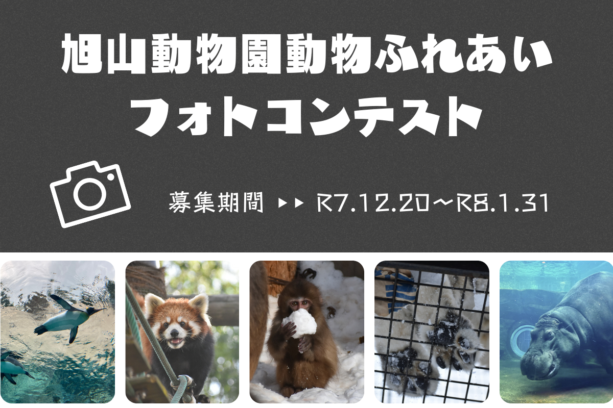 R7フォトコンサムネ