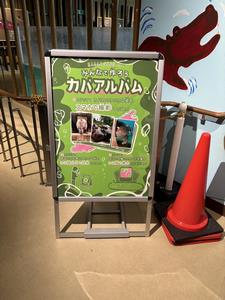 写真募集のポスター