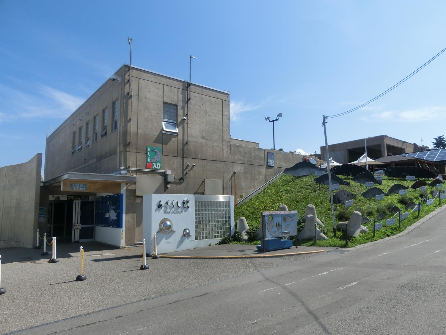 あざらし館 旭川市 旭山動物園