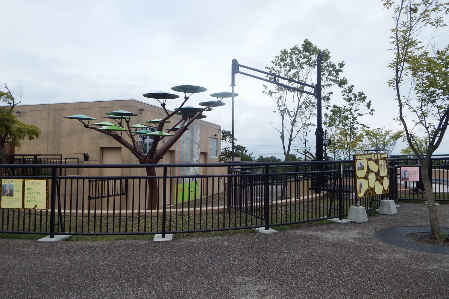 きりん舎 旭川市 旭山動物園