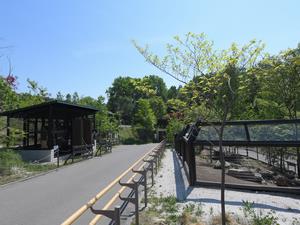 北海道小動物コーナー