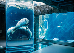 マップページ　アイコン