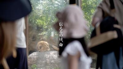 サムネ