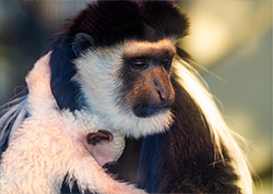 売店・飲食店ページ　アイコン