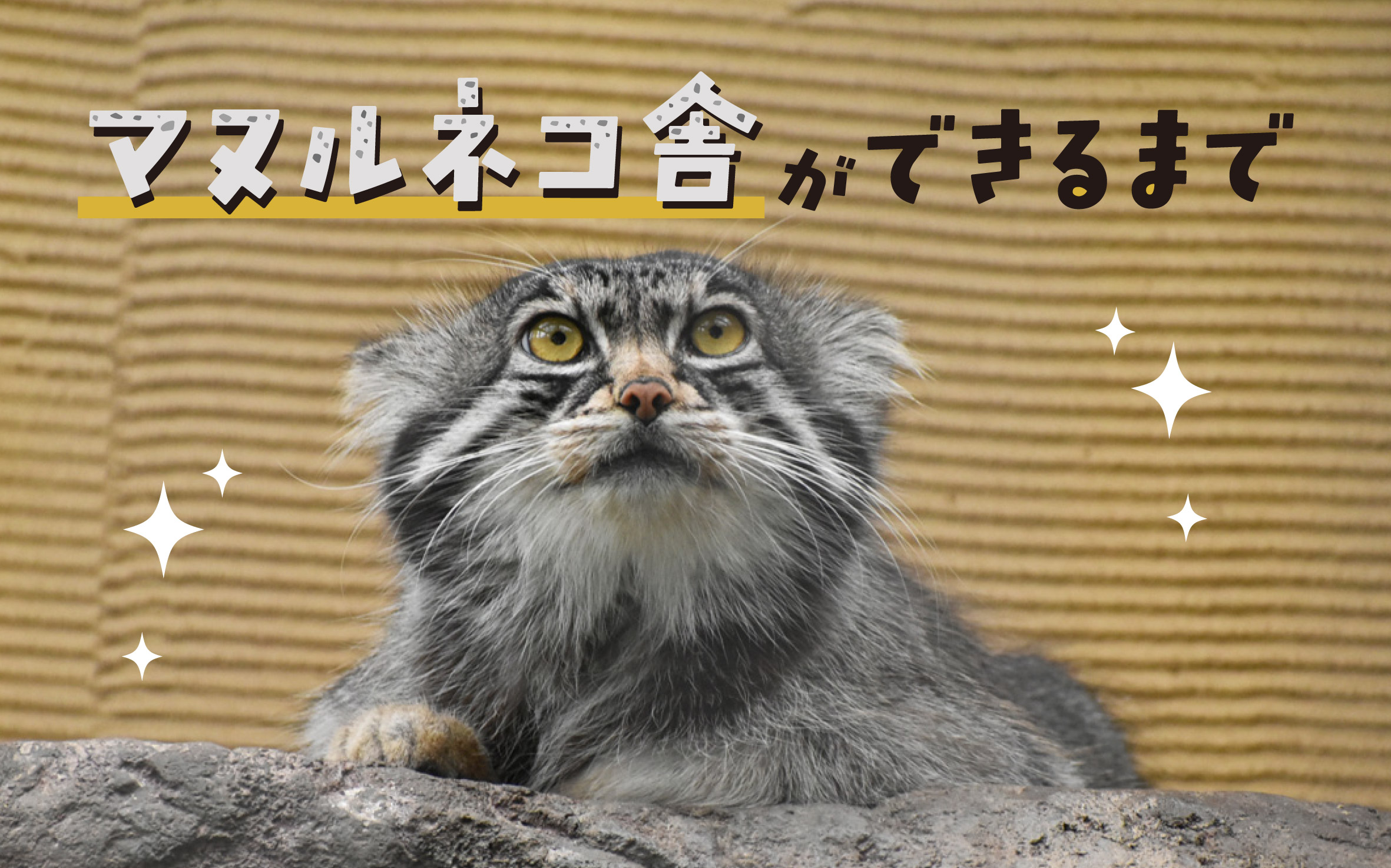 完成版