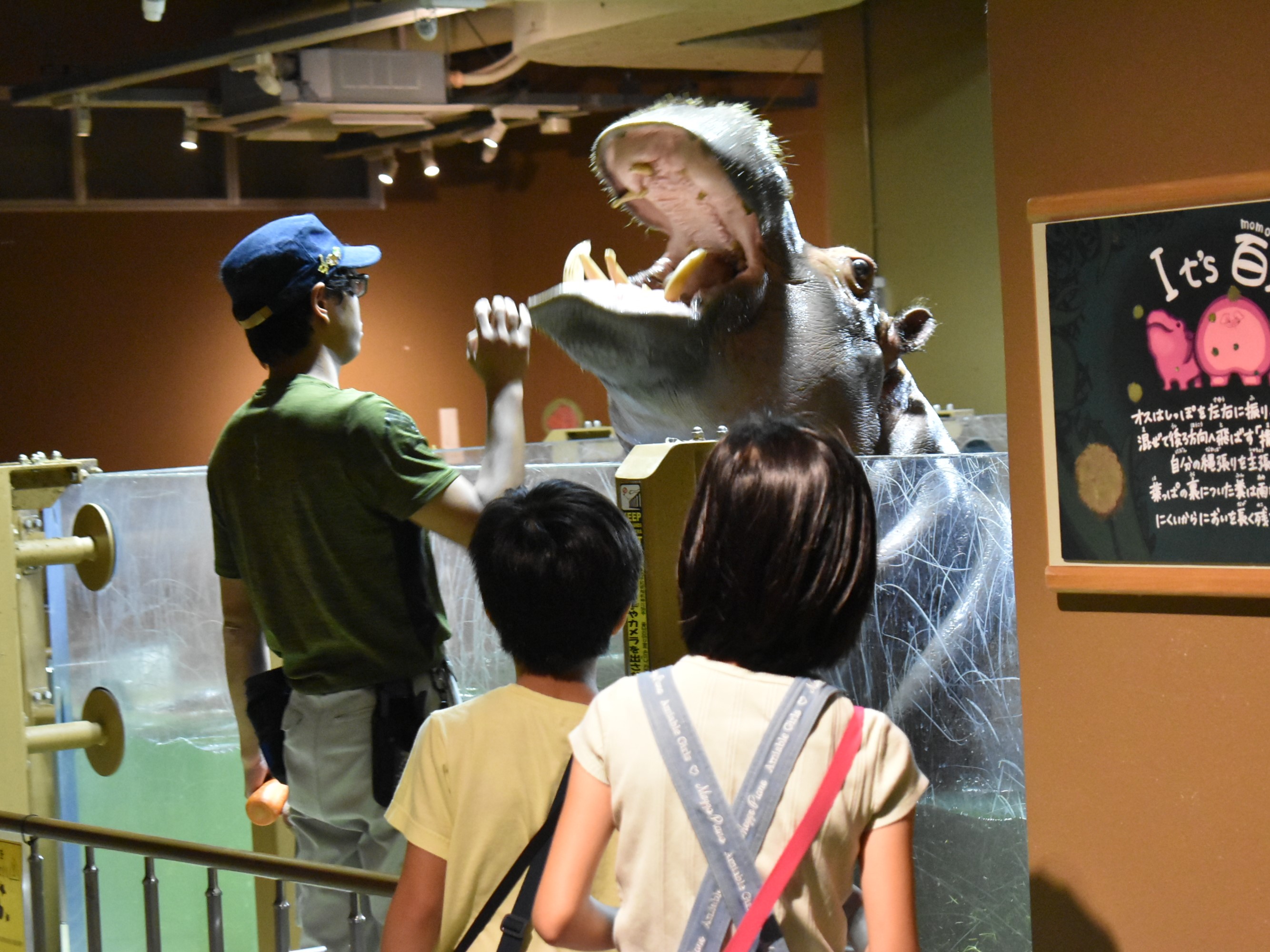 サムネ