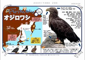 みにだより125