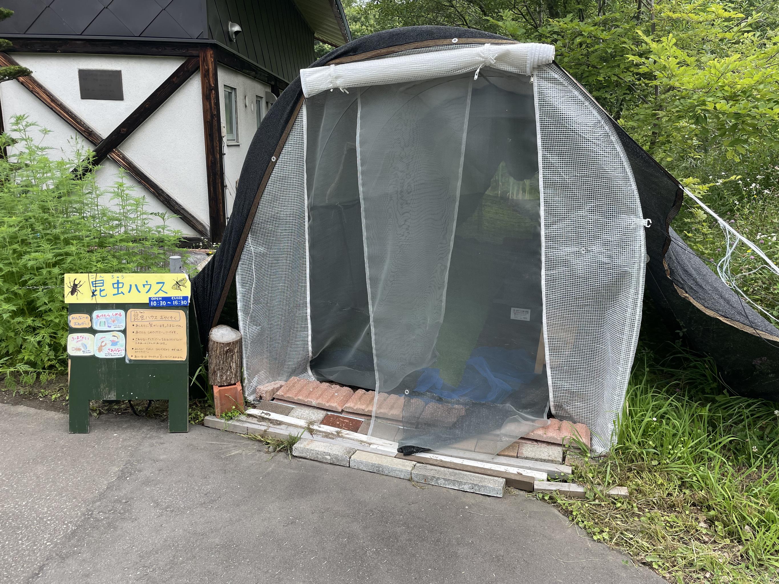 クイズ