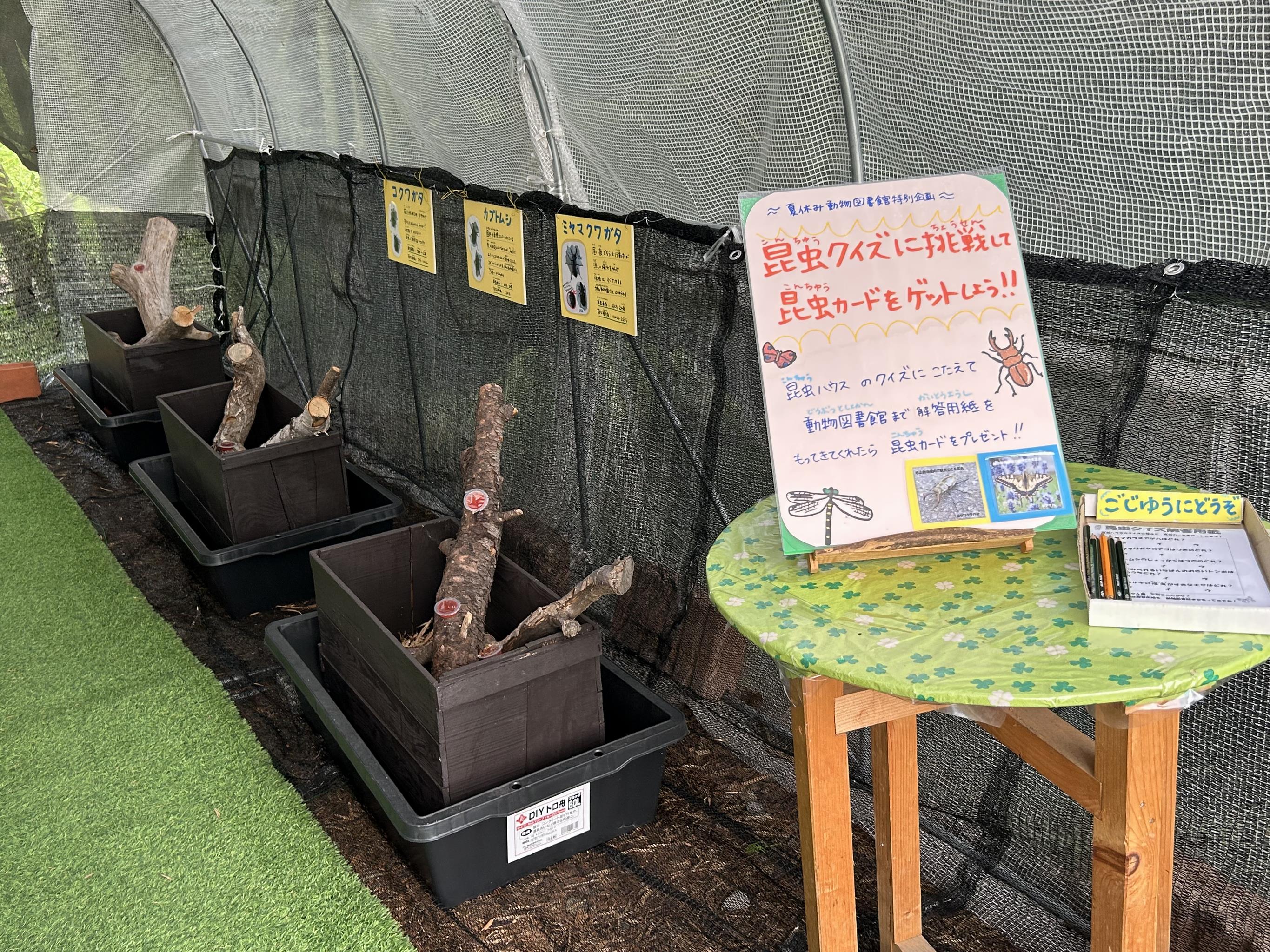 クイズ