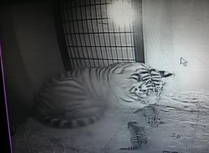 出産直後