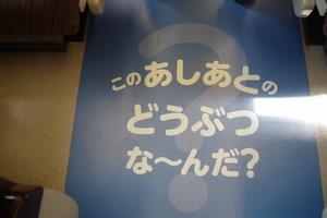 写真8