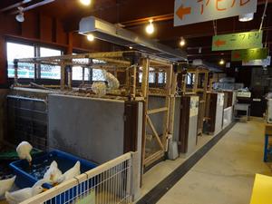 第2こども牧場の中