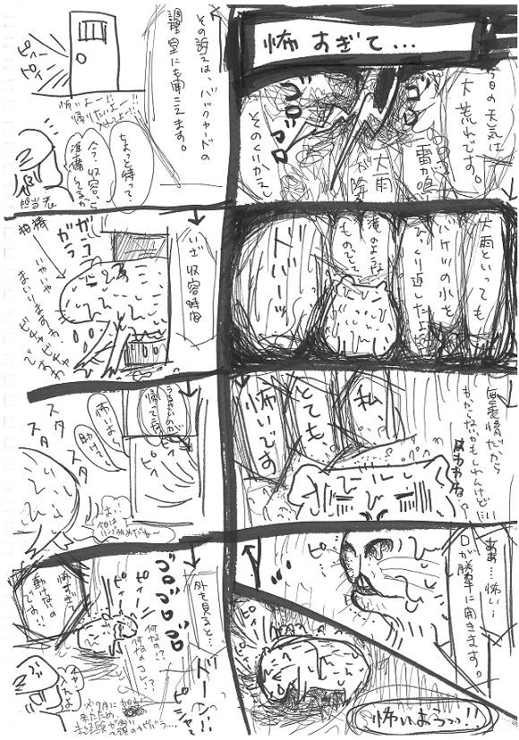 白木イラスト1