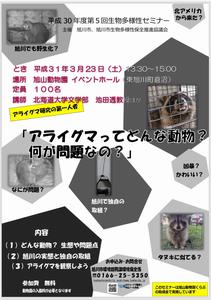チラシ