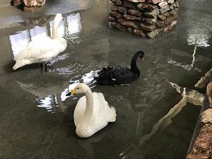 水がたまる