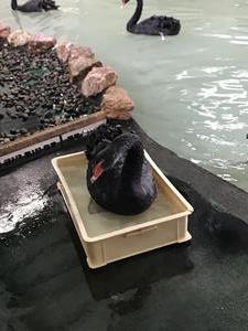 お風呂のように