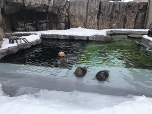 今年の様子