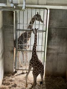 サムネ