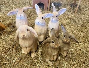 サムネ7