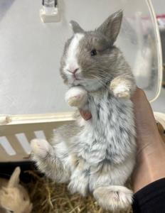 サムネ0