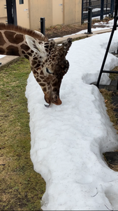 サムネ3