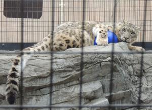 サムネ3
