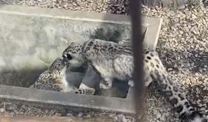 サムネ4