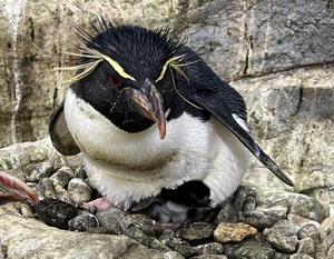 サムネ2