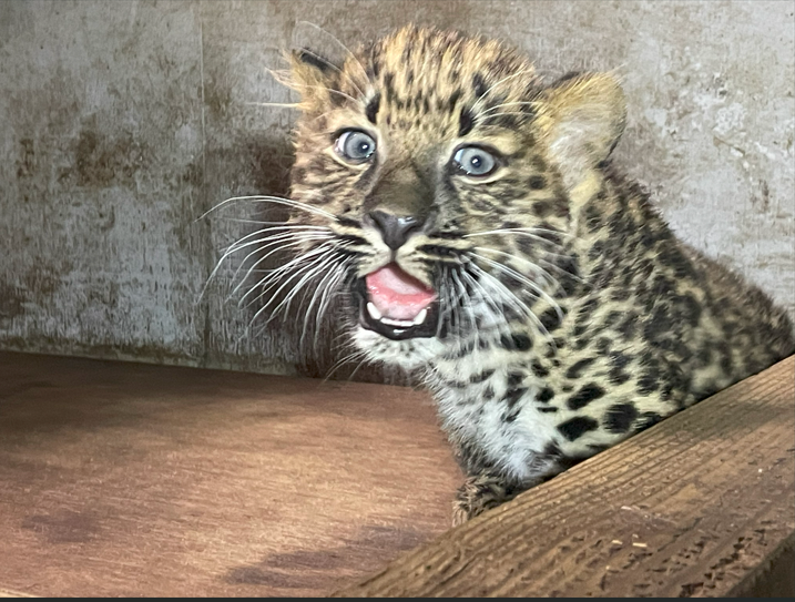 サムネ1
