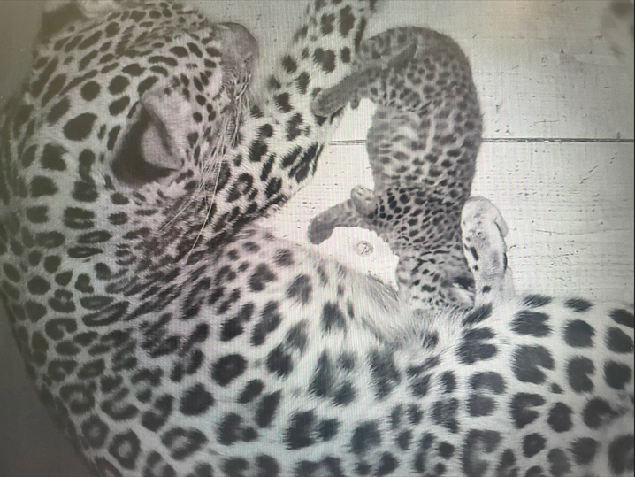 サムネ2