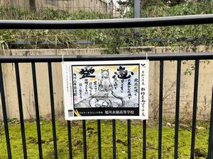 オオカミ