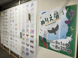 ぬりえ展 サムネ