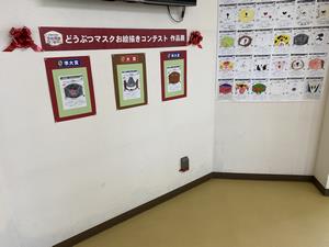 展示の様子