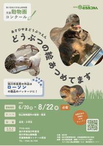 R7チラシ表