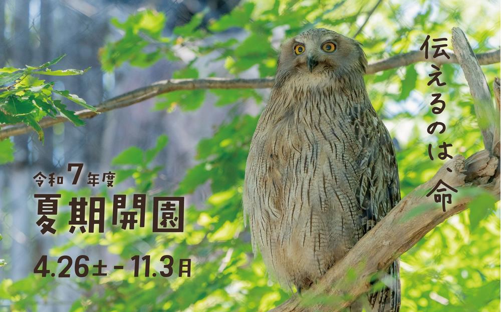 R7バナー