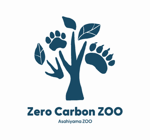 ZCZ