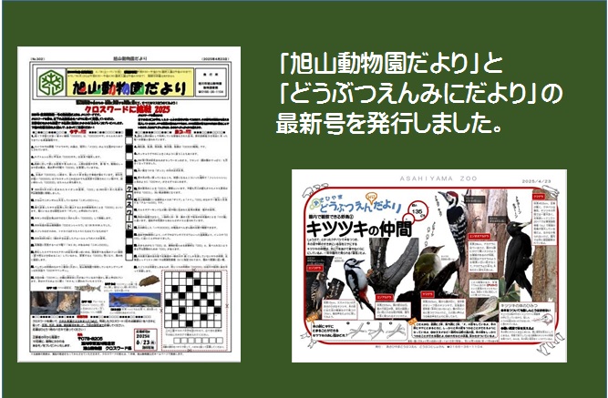 メイン