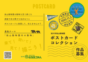 R7チラシ表