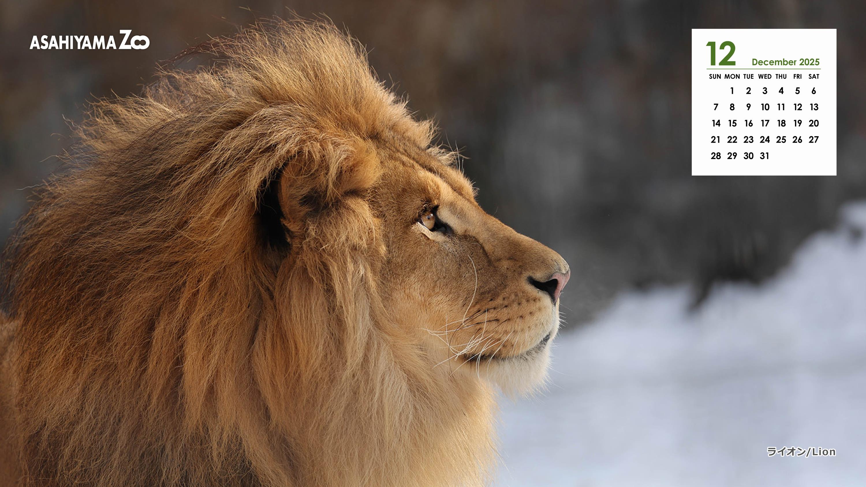 12月カレンダー