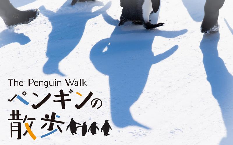 R7ペンギンの散歩バナー