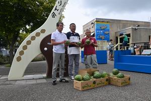 北竜町スイカ