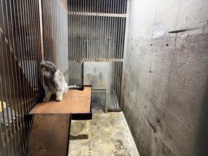 ヒデ来園後2