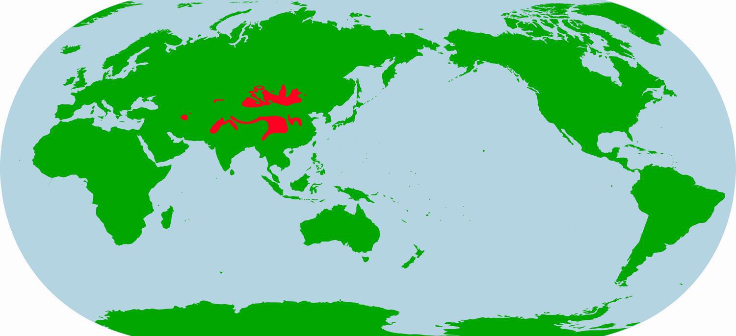 シベリア南部から中国、イラン、アフガニスタン等の標高が高い草原や半砂漠（画像）