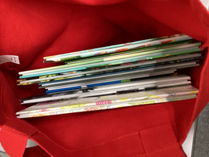 大きな絵本もたくさん入ります!