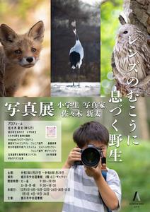 小学生写真家の写真展ポスター