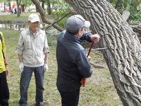 令和元年度第2回常磐公園の緑を考える集い開催状況2