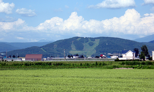 現在の岐登牛山の写真