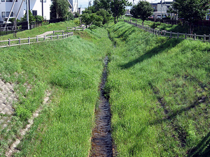 豊岡キキョウ公園付近からみた難波田川の写真