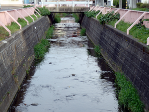 新富保育園側の橋から見た永山1号川の写真